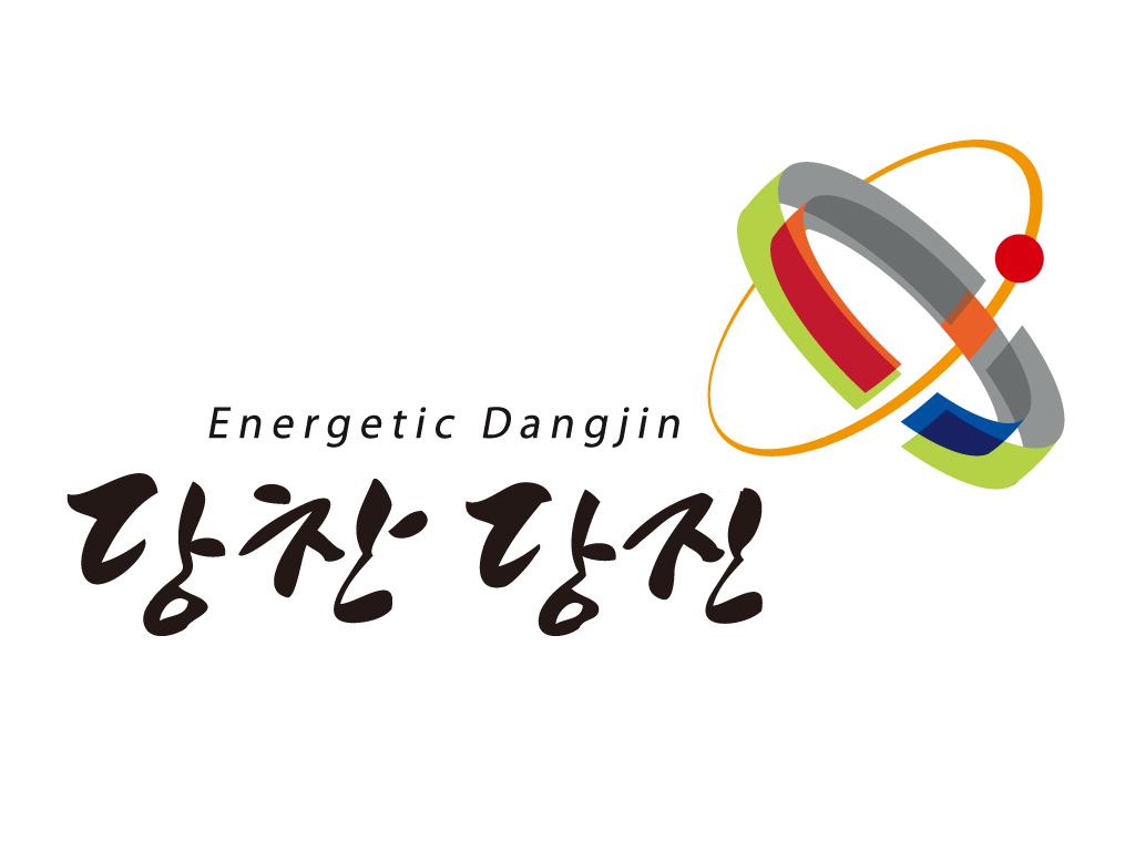 당진시 주민자치형